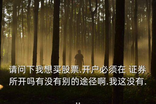 請(qǐng)問(wèn)下我想買股票.開戶必須在 證券所開嗎有沒(méi)有別的途徑啊.我這沒(méi)有...
