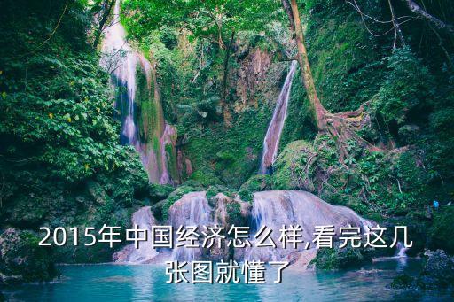 2015年中國經濟怎么樣,看完這幾張圖就懂了