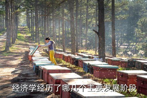 中國經(jīng)濟學年會2015議程