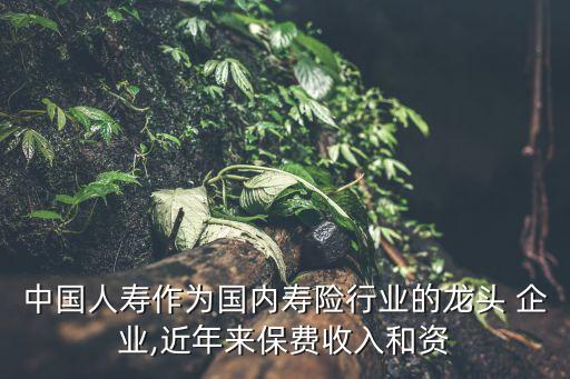 中國(guó)人壽作為國(guó)內(nèi)壽險(xiǎn)行業(yè)的龍頭 企業(yè),近年來(lái)保費(fèi)收入和資