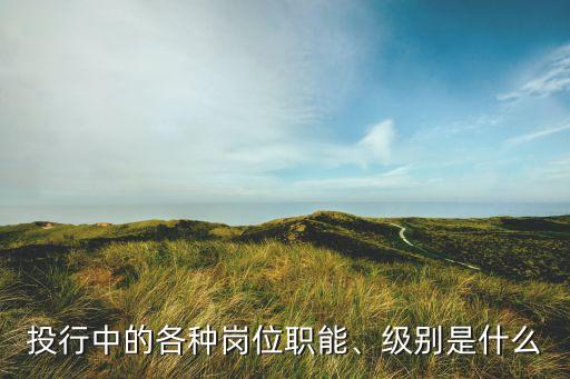 投行中的各種崗位職能、級(jí)別是什么