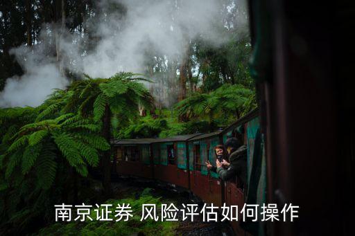 南京證券 風(fēng)險(xiǎn)評估如何操作
