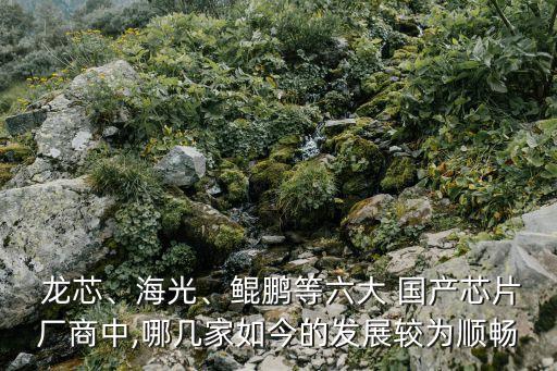  龍芯、海光、鯤鵬等六大 國產(chǎn)芯片廠商中,哪幾家如今的發(fā)展較為順暢