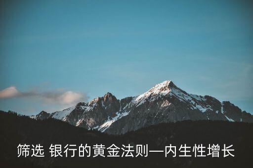 篩選 銀行的黃金法則—內生性增長