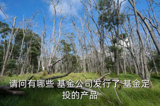 請問有哪些 基金公司發(fā)行了 基金定投的產品