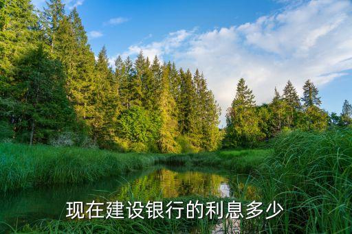 現(xiàn)在建設銀行的利息多少