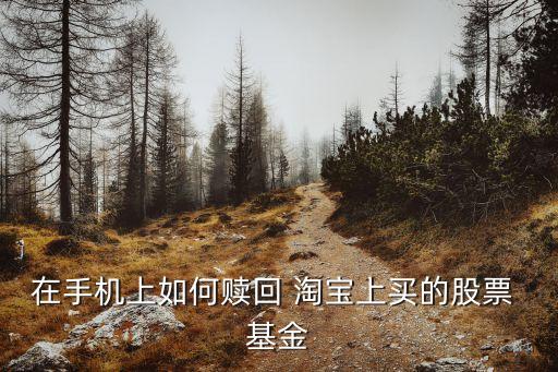 在手機(jī)上如何贖回 淘寶上買(mǎi)的股票 基金