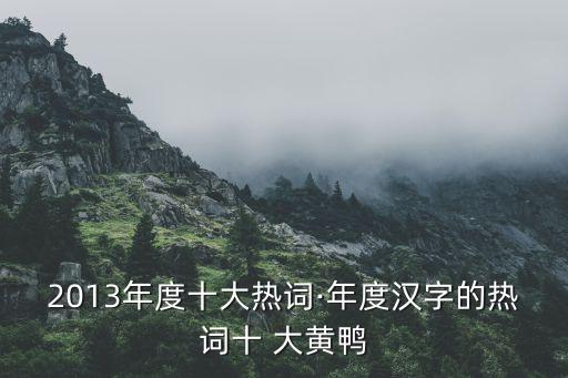 中國出現(xiàn)大黃鴨是否侵權