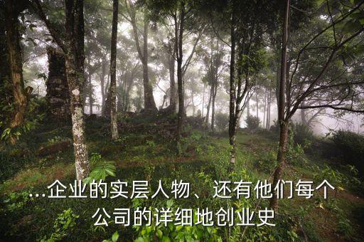 ...企業(yè)的實層人物、還有他們每個 公司的詳細(xì)地創(chuàng)業(yè)史