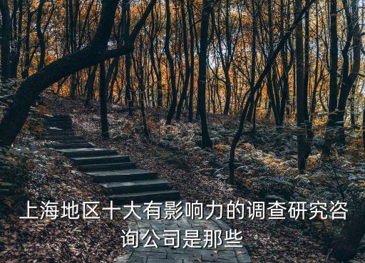  上海地區(qū)十大有影響力的調查研究咨詢公司是那些