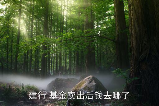 建行 基金賣(mài)出后錢(qián)去哪了