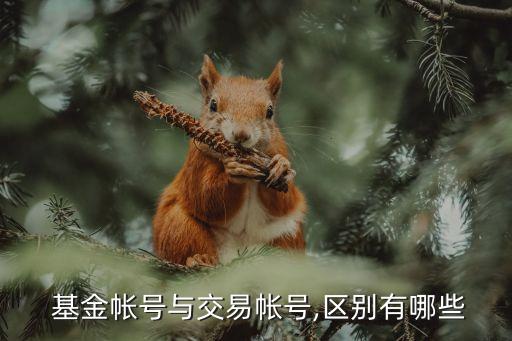基金相關(guān)賬戶(hù),基金可以轉(zhuǎn)給別人賬戶(hù)嗎