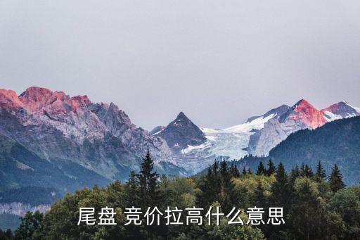 股票尾盤(pán)競(jìng)價(jià)買(mǎi)一8000多手