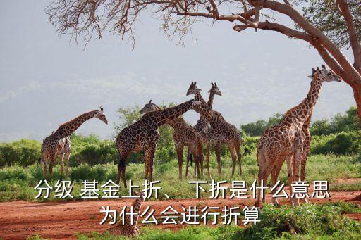 分級基金已經下折