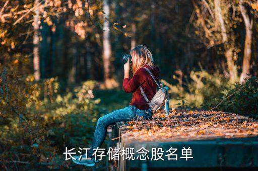長江存儲(chǔ)概念股名單