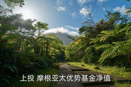 上投 摩根亞太優(yōu)勢基金凈值