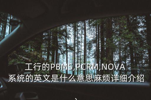 工行的PBMS,PCRM,NOVA 系統(tǒng)的英文是什么意思麻煩詳細(xì)介紹、