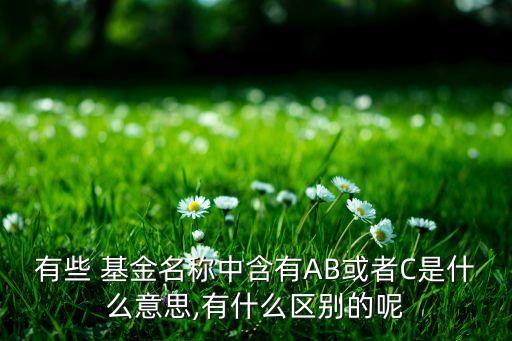 有些 基金名稱(chēng)中含有AB或者C是什么意思,有什么區(qū)別的呢