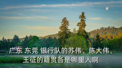 廣東 東莞 銀行隊的蘇偉、陳大偉、王征的籍貫各是哪里人啊
