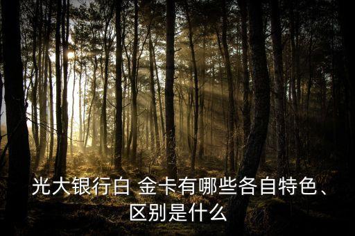  光大銀行白 金卡有哪些各自特色、區(qū)別是什么