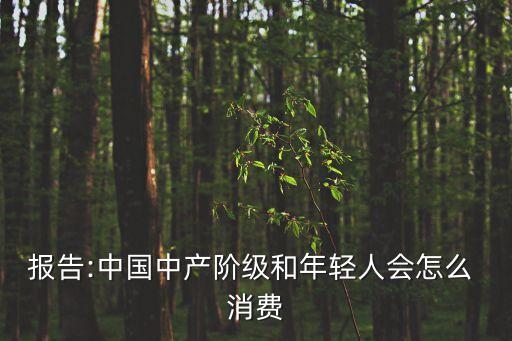 報告:中國中產階級和年輕人會怎么 消費