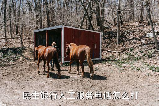  民生銀行人工服務(wù)電話(huà)怎么打