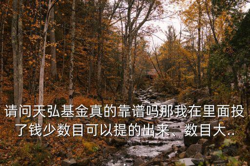 請問天弘基金真的靠譜嗎那我在里面投了錢少數(shù)目可以提的出來、數(shù)目大...