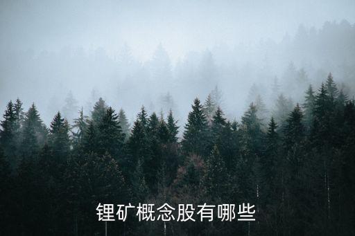 鋰電上游股票,天宏鋰電股票可以買(mǎi)嗎