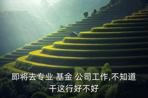 即將去專(zhuān)業(yè) 基金 公司工作,不知道干這行好不好