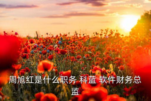 周旭紅是什么職務 科藍 軟件財務總監(jiān)