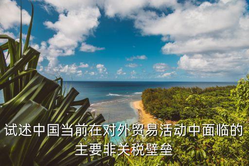 試述中國當前在對外貿(mào)易活動中面臨的主要非關稅壁壘