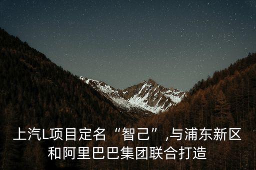 上海張江股權投資