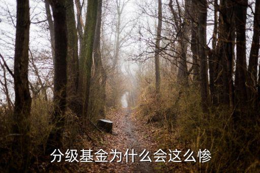  分級基金為什么會(huì)這么慘
