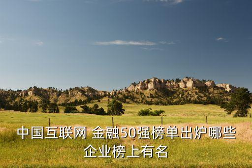 網絡金融公司