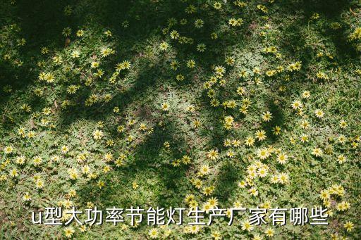 u型大功率節(jié)能燈生產廠家有哪些