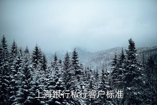  上海銀行私行客戶(hù)標(biāo)準(zhǔn)