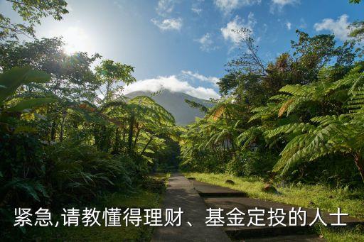 緊急,請教懂得理財、基金定投的人士