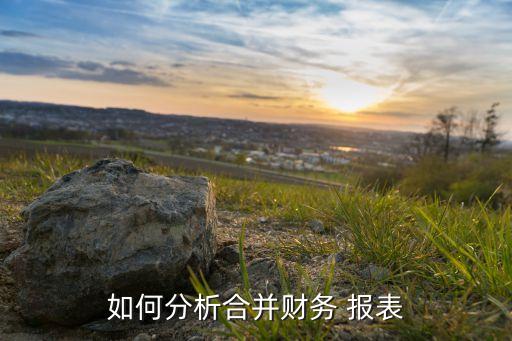 如何分析合并財(cái)務(wù) 報表