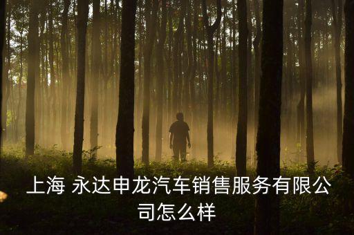  上海 永達申龍汽車銷售服務(wù)有限公司怎么樣