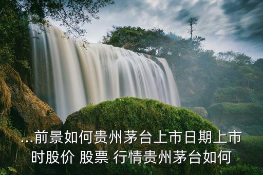 ...前景如何貴州茅臺上市日期上市時(shí)股價(jià) 股票 行情貴州茅臺如何