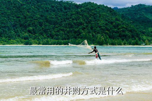 公司新法人收購(gòu)股份辦法,法人在公司里面沒有股份可以嗎