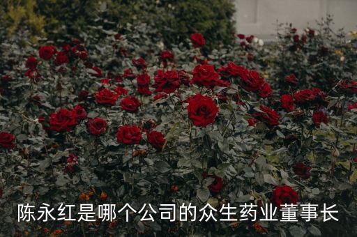陳永紅是哪個(gè)公司的眾生藥業(yè)董事長