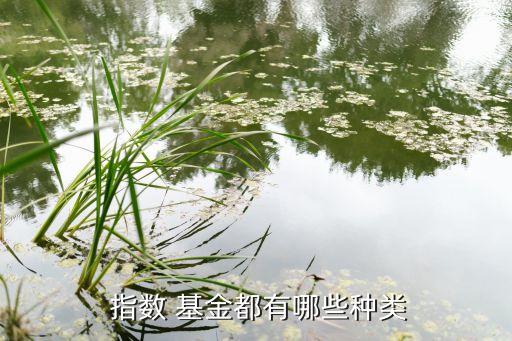 美國標(biāo)普500指數(shù)基金,納斯達(dá)克指數(shù)和道瓊斯指數(shù)的區(qū)別