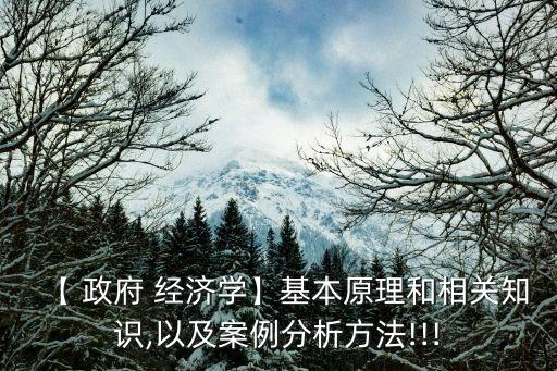 【 政府 經(jīng)濟學】基本原理和相關(guān)知識,以及案例分析方法!!!