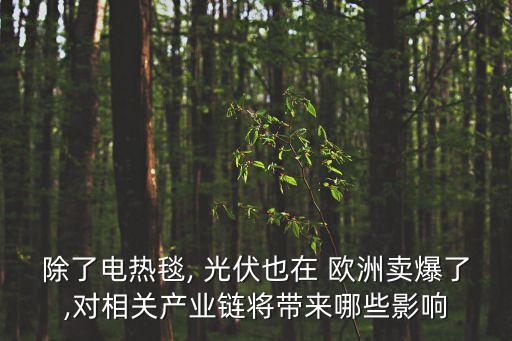 除了電熱毯, 光伏也在 歐洲賣爆了,對(duì)相關(guān)產(chǎn)業(yè)鏈將帶來(lái)哪些影響