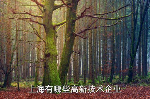 上海戈冉泊精?？萍脊煞萦邢薰?戈冉泊精模科技股份有限公司 曹毅