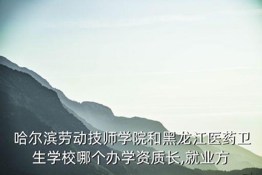  哈爾濱勞動技師學院和黑龍江醫(yī)藥衛(wèi)生學校哪個辦學資質長,就業(yè)方