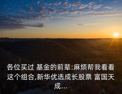 各位買過(guò) 基金的前輩:麻煩幫我看看這個(gè)組合,新華優(yōu)選成長(zhǎng)股票 富國(guó)天成...