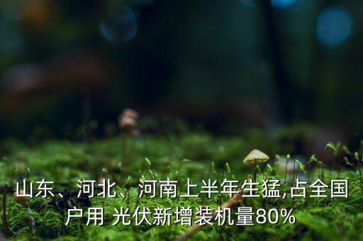 山東、河北、河南上半年生猛,占全國戶用 光伏新增裝機(jī)量80%