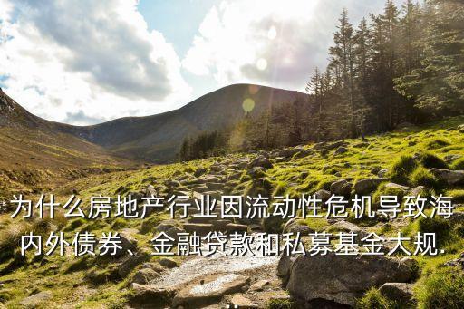 為什么房地產行業(yè)因流動性危機導致海內外債券、金融貸款和私募基金大規(guī)...